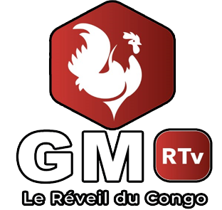 GM RTV