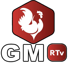 GM RTV
